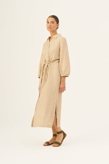 Bronze White Stripes Linen Rhapsody Dress